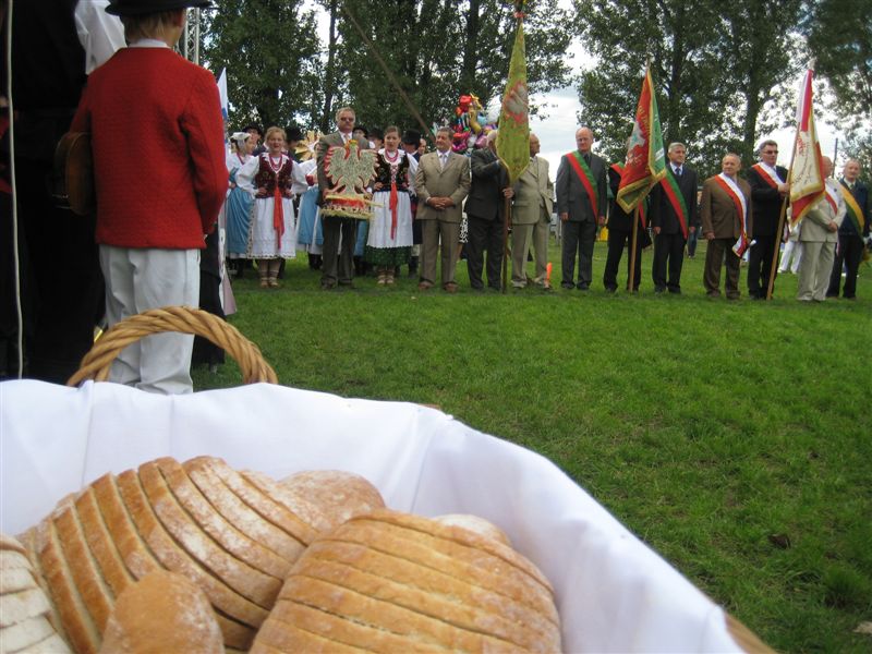 dożynki w Poznaniu 11 - Adam Michalkiewicz