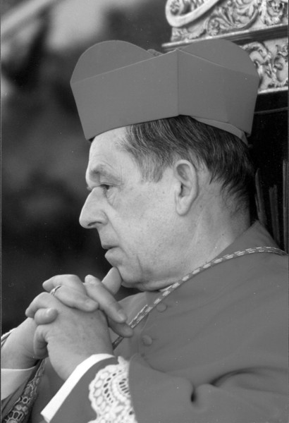 Antoni Hoffmann