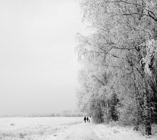 Winter Time  - Michał Koralewski  - Mobile Photo Awards