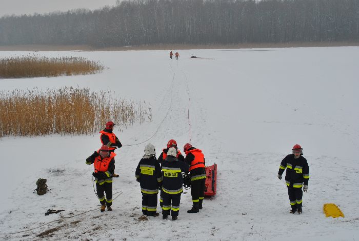 Jeleń na lodzie  - Konin.lm.pl