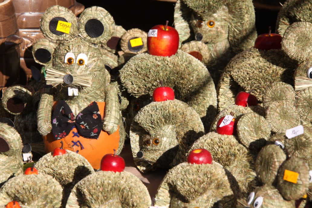 Grzegorz Maciejewski