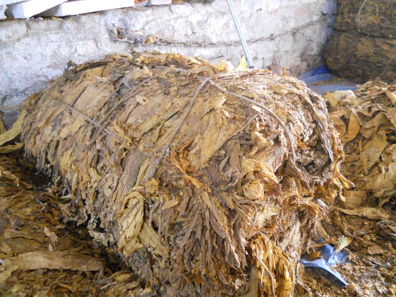 Fabryczka nielegalnego tytoniu - Złotów - KWP w Poznaniu