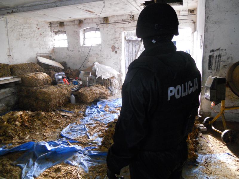 Fabryczka nielegalnego tytoniu - Złotów - KWP w Poznaniu