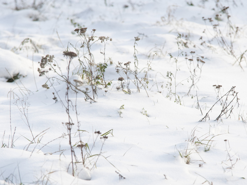 Zima na polu - Radio Merkury