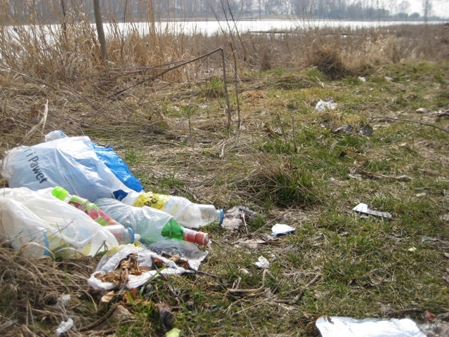 Co krył śnieg - Rafał Regulski