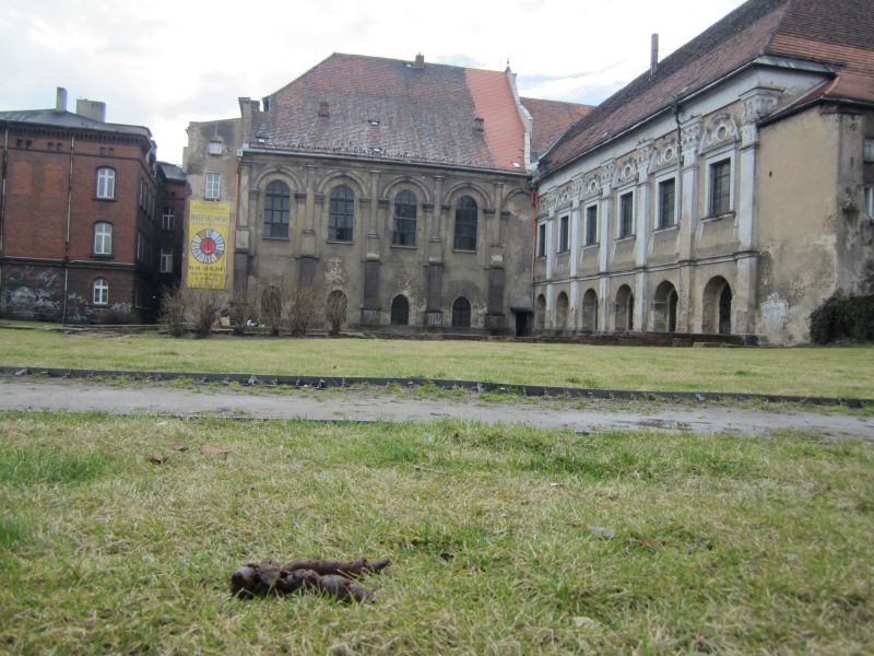 Wojciech Chmielewski