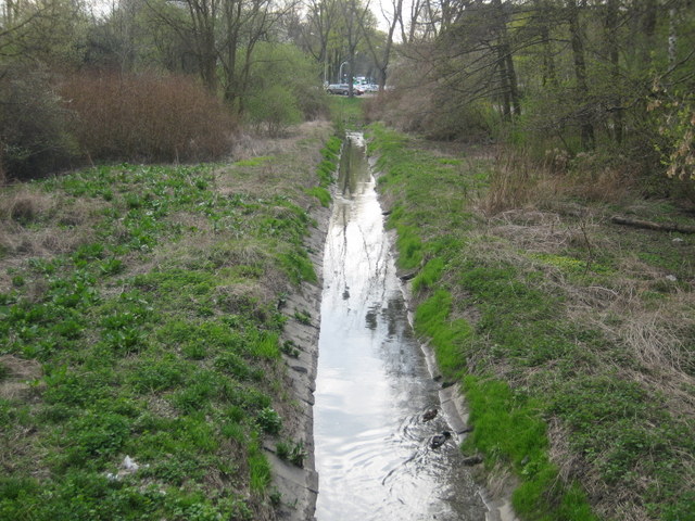 Bogdanka - Jacek Butlewski