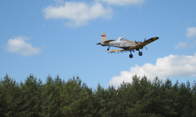 opryski przeciwko barczatce - Wiesława Pinkowska 