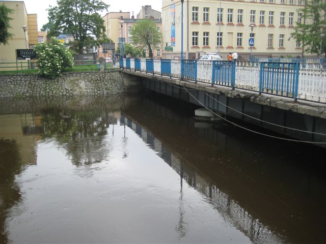 Prosna - wysoka woda - Danuta Synkiewicz