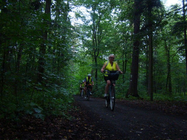 Filip Mójta, Witold Biesiada i Piotr Niewiarowski