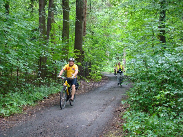 Filip Mójta, Witold Biesiada i Piotr Niewiarowski