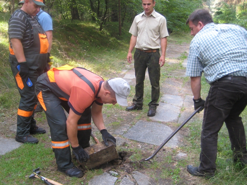 Płyty nagrobkowe w lesie - Wiesława Pinkowska