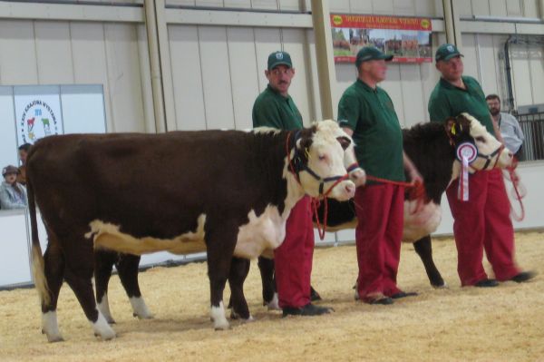 Wojciech Chmielewski