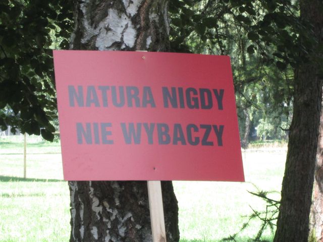 Aleksandra Włodarczyk