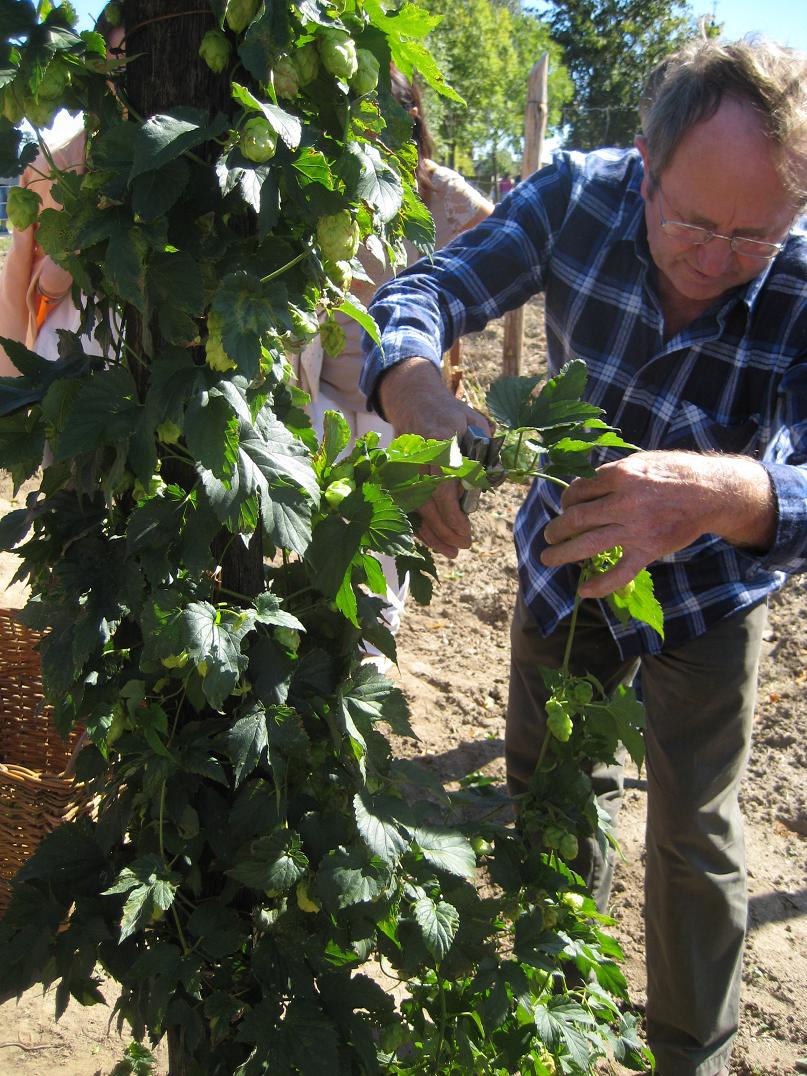 Dziekanowice pożegnanie lata 2013 (12) - Jacek Butlewski