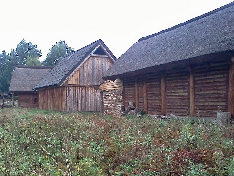 zawodzie domy strzecha wies - Adam Michalkiewicz