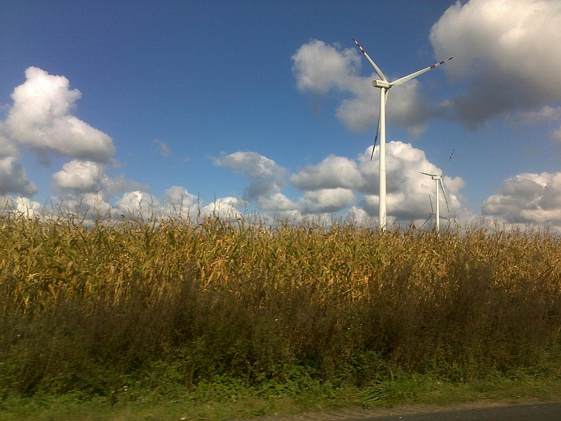 wiatraki Margonin - TomFoto
