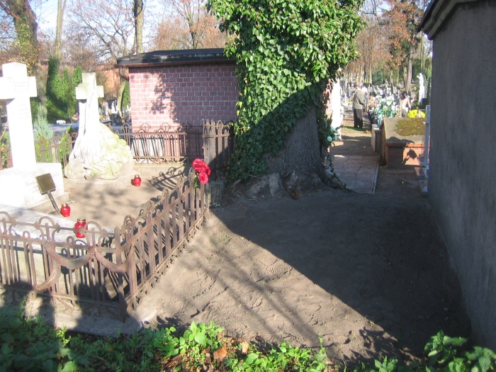 gniezno_kwesta_drzewo_plot - Rafał Muniak