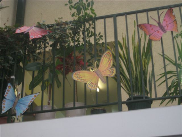 Motyle dla hospicjum - akcja - Magda Konieczna