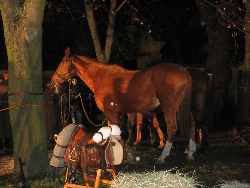 Małgorzata Jagielska