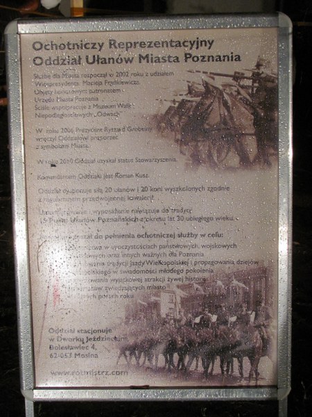 Małgorzata Jagielska