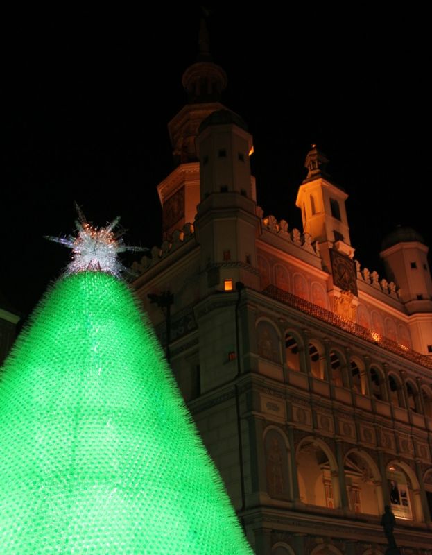 Grzegorz Maciejewski