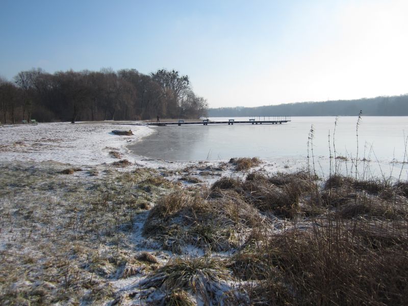 rusałka lód - Adam Michalkiewicz