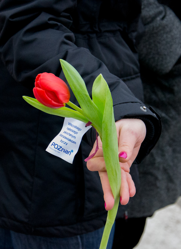 Urząd Miasta Poznania 2014