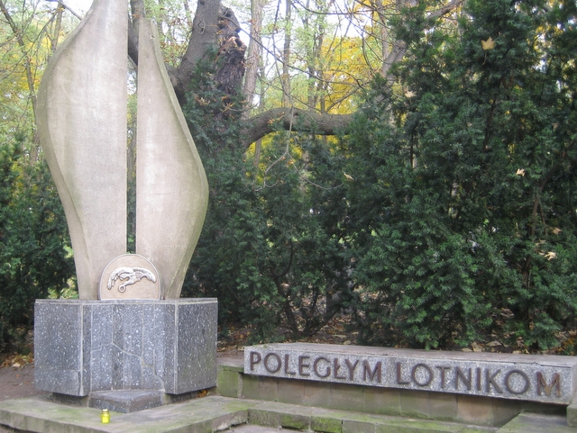 Sprzątanie Cytadeli - Alicja Łatka