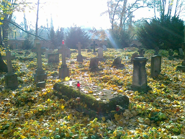 Cmentarz Zasłużonych Wielkopolan - Wojciech Chmielewski