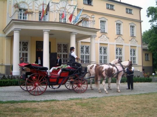 Pałac w Witaszycach - Muzeum Napoleońskie w Witaszycach