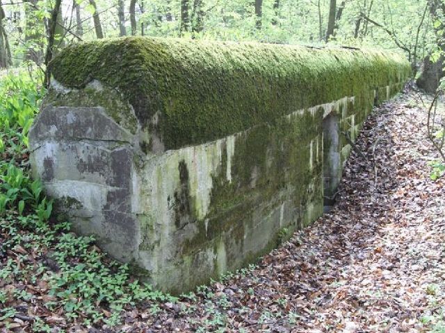 schron miedzypola - TMML