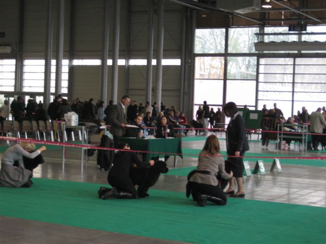 Aleksandra Włodarczyk