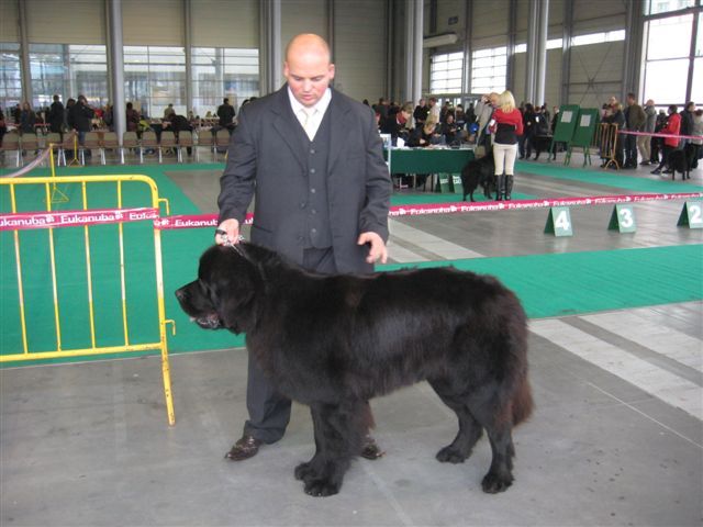 Aleksandra Włodarczyk