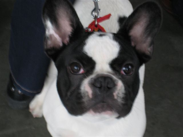 Aleksandra Włodarczyk