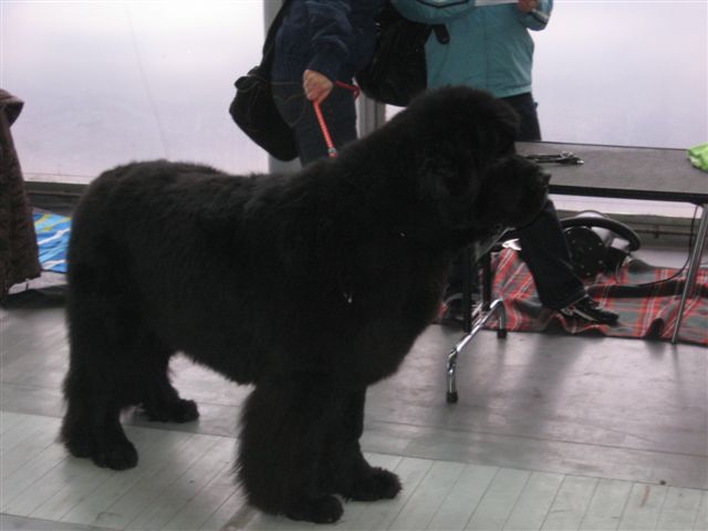 Aleksandra Włodarczyk