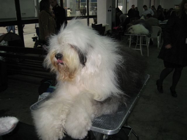 Aleksandra Włodarczyk