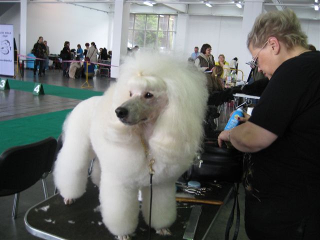 Aleksandra Włodarczyk