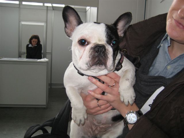 Aleksandra Włodarczyk