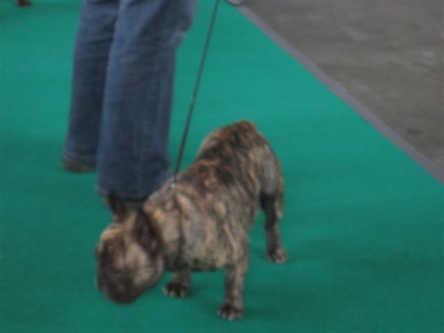 Aleksandra Włodarczyk