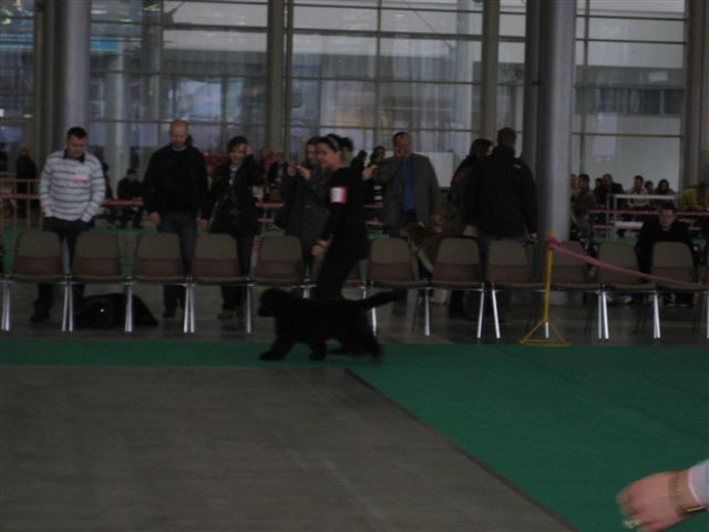 Aleksandra Włodarczyk