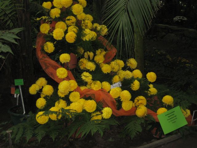 Aleksandra Włodarczyk