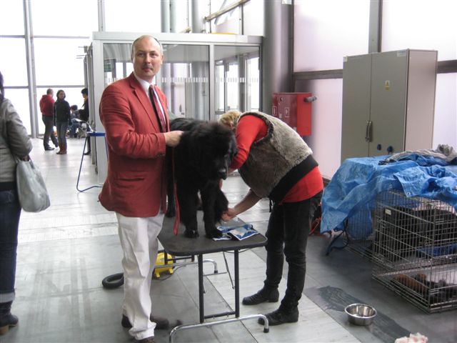 Wystawa Psów Rasowych Poznań 2010 - Aleksandra Włodarczyk