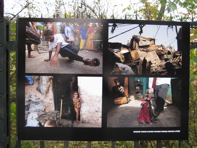 Aleksandra Włodarczyk