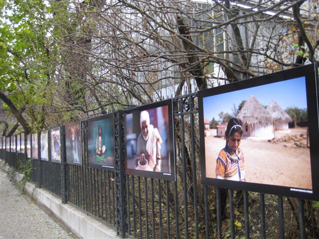 Aleksandra Włodarczyk