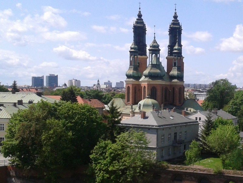 katedra poznanska - Szymon Mazur