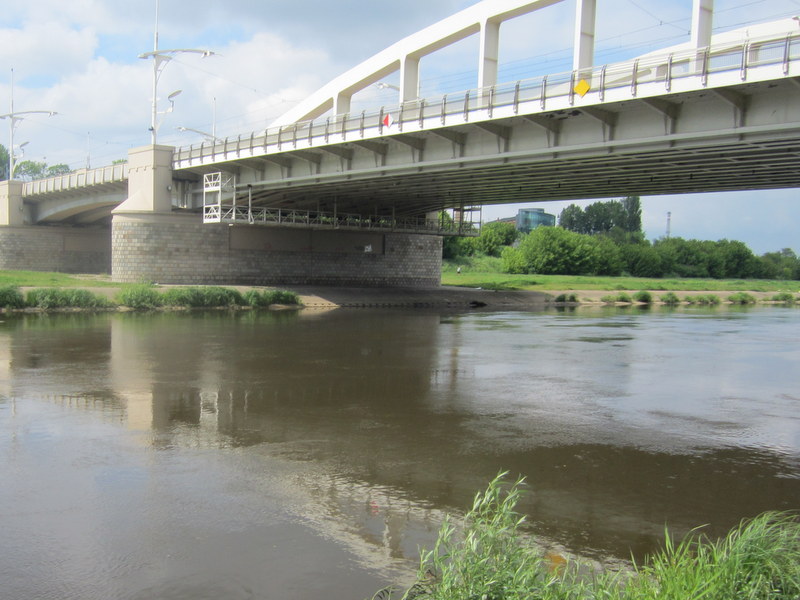rzeka Warta w Poznaniu nad brzegiem (2) - Adam Michalkiewicz