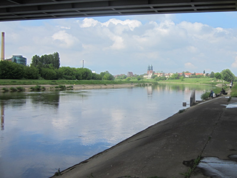 rzeka Warta w Poznaniu nad brzegiem (6) - Adam Michalkiewicz