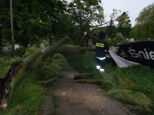 konar zwalony - PSP Wągrowiec