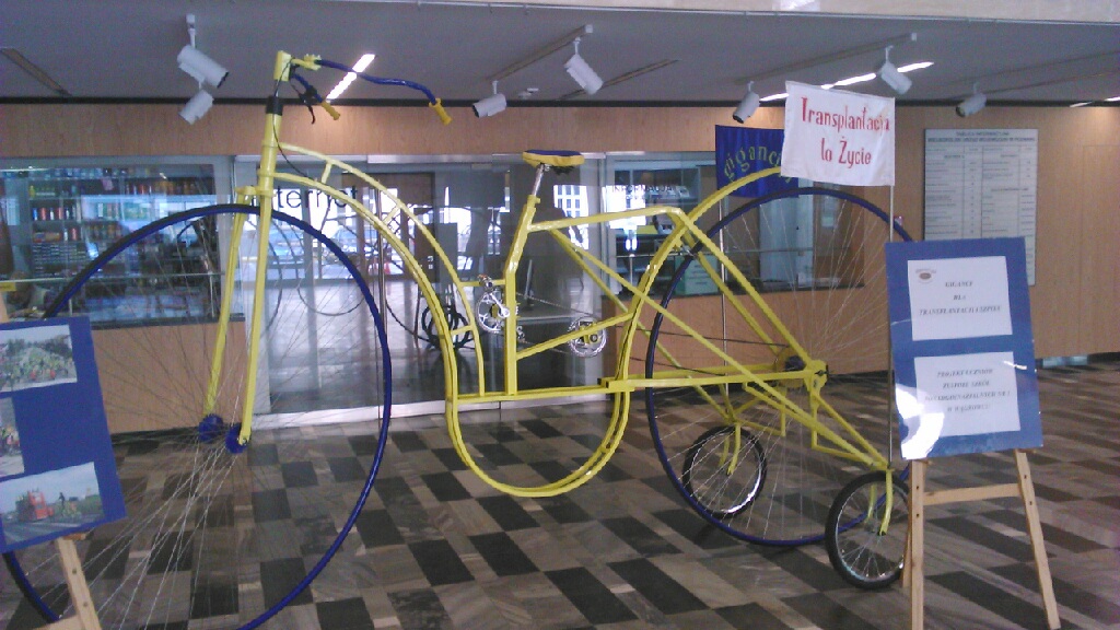 drugie życie rower - Aleksandra Włodarczyk